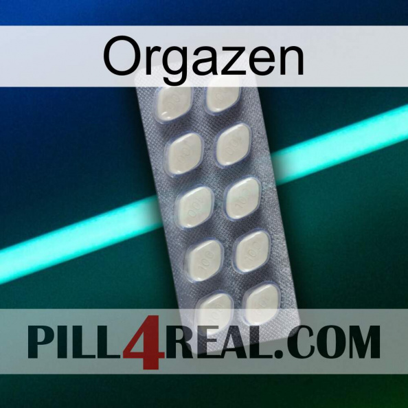 Orgazen 08.jpg